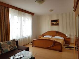 Отель Hotel Solar Фокшани Улучшенный двухместный номер с 1 кроватью-1